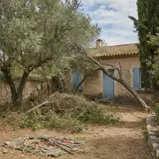 Élagage et abattage d'arbres à Saint-Rémy-de-Provence