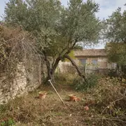 Élagage et abattage d'arbres aux Saintes-Maries